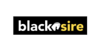 services_client_logo_blacksire_enterprise